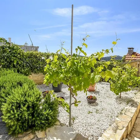 Zvonko Апартаменты