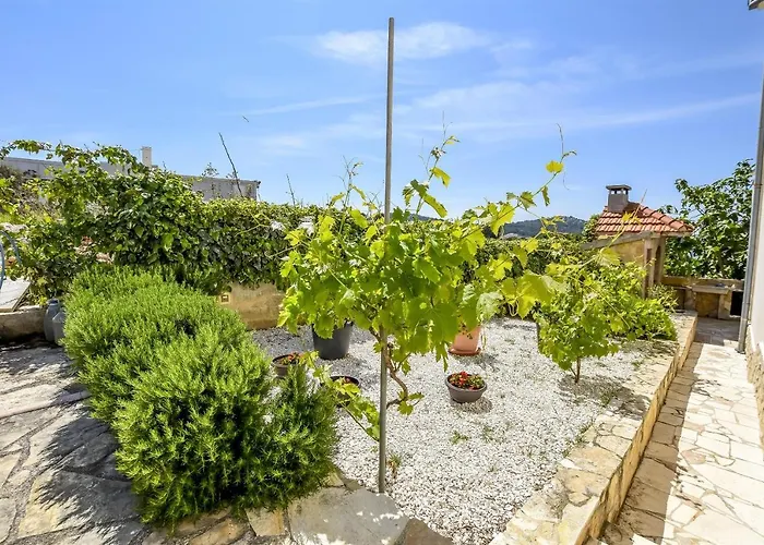 Zvonko Апартаменты